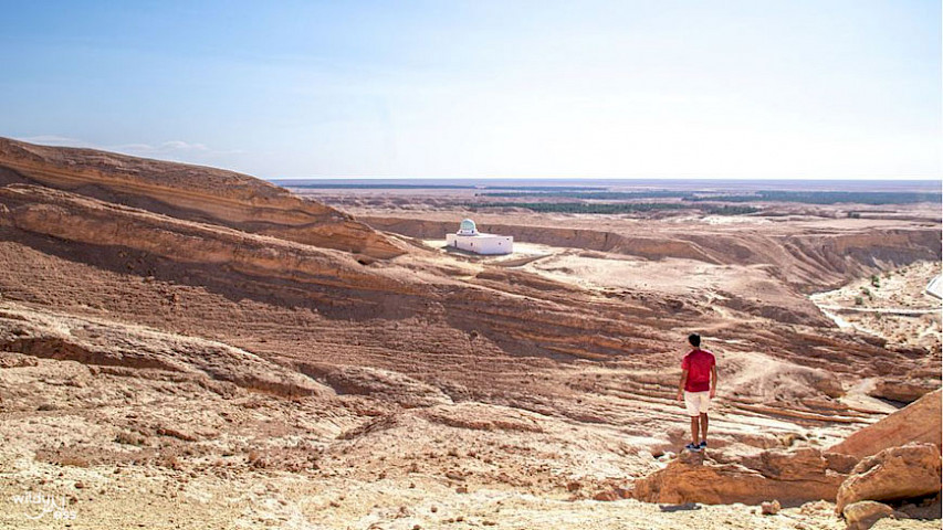 TO DO Award 2026 WildyNess, Tunesien