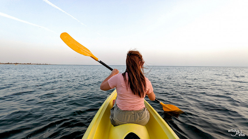 TO DO Award 2026 WildyNess, Tunesien